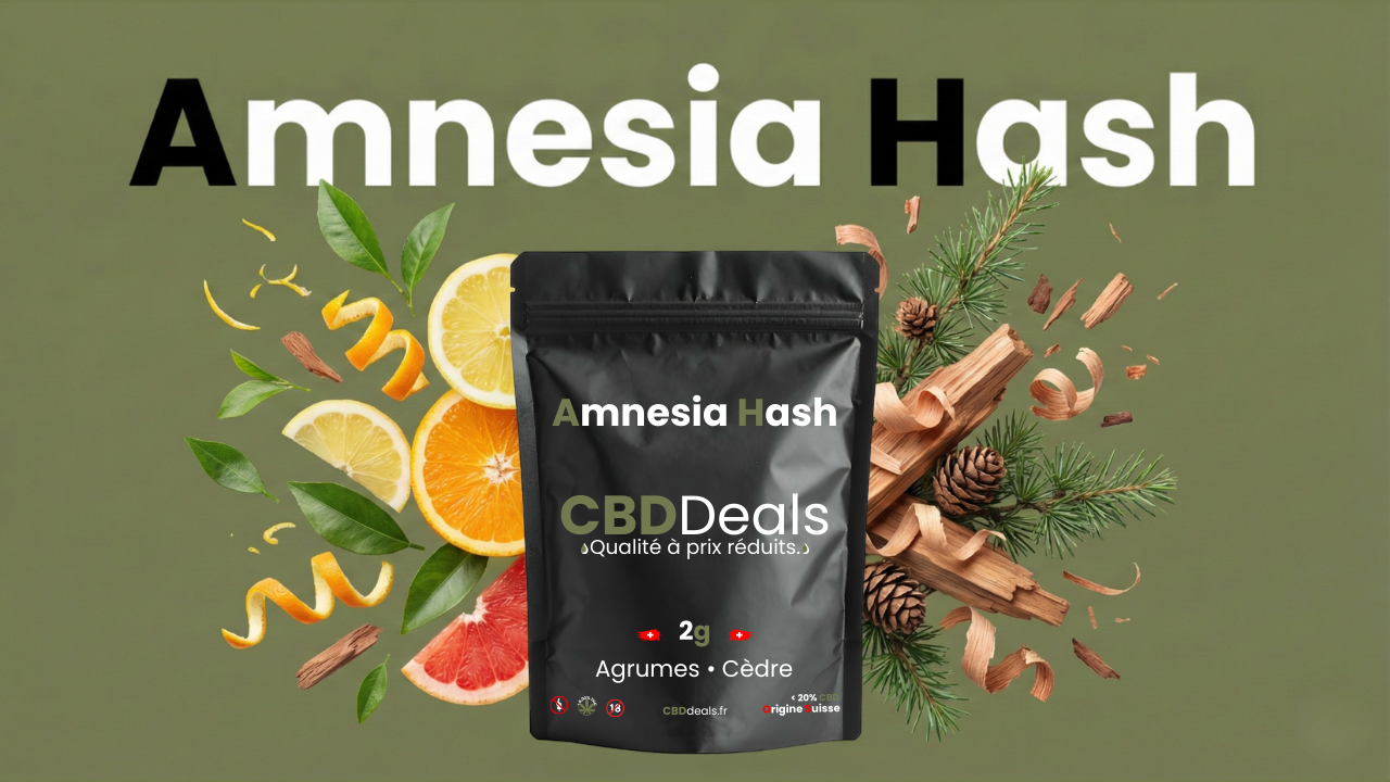 amnesia hash résine cbd