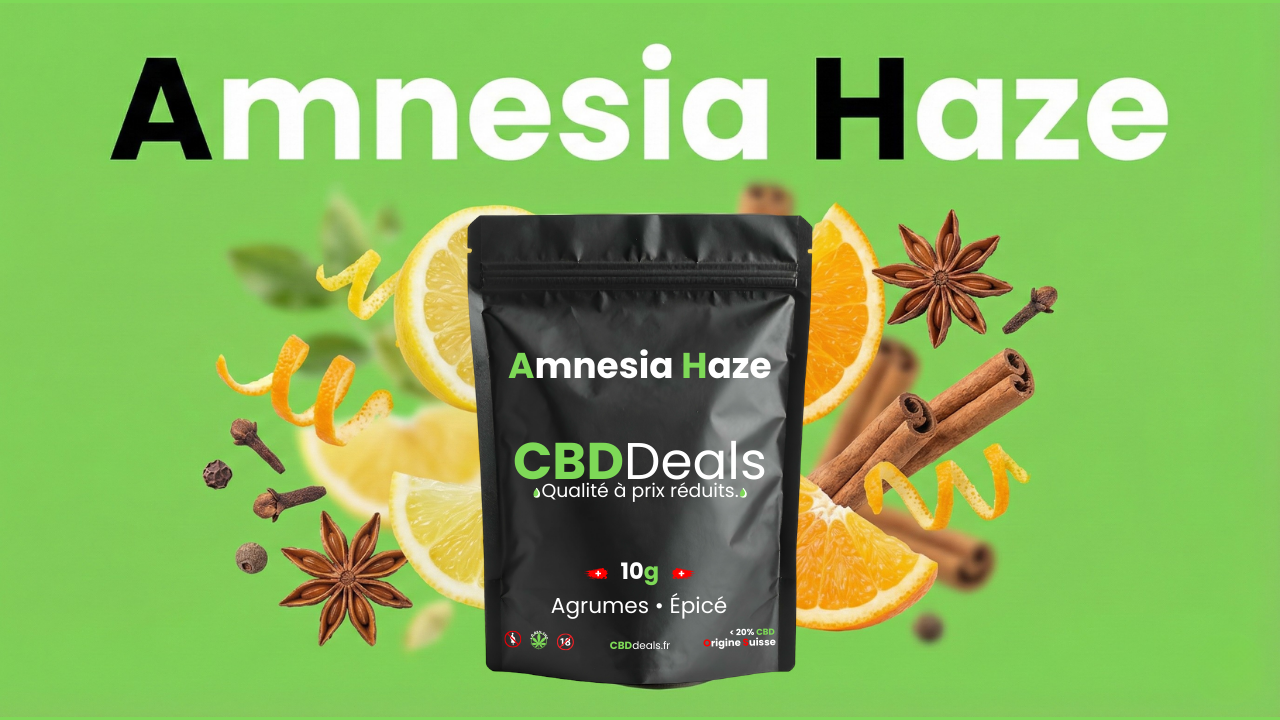 amnesia haze fleurs cbd