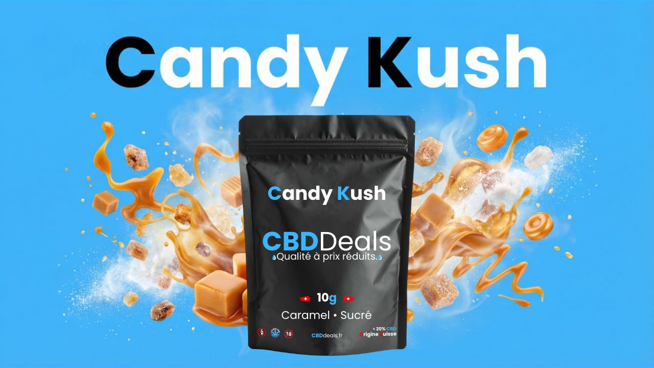 candy kush fleurs cbd