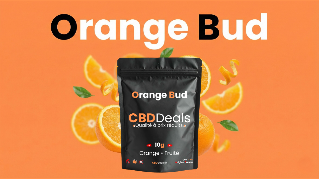 orange bud fleurs cbd