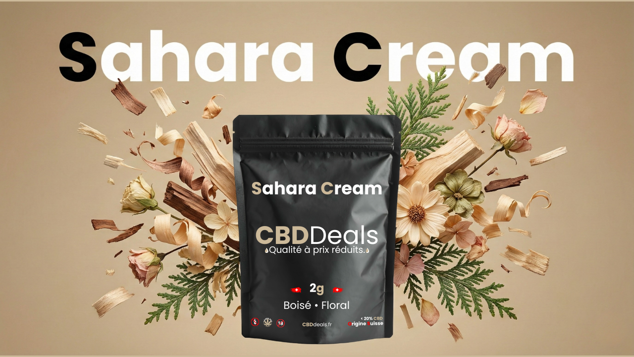 sahara cream résine cbd